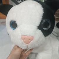 Gattone peluche grande bianco e nero 