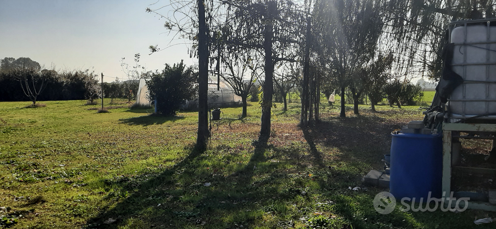 Terreno agricolo uso orto - Vista 3