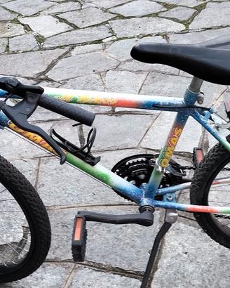 Montain bike