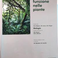 Struttura e funzione nelle piante - Piccin