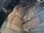 Immagine 11