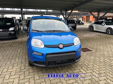 FIAT Panda 1.0 Hybrid + SED REG H + SENSORI +