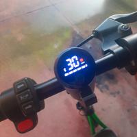 Monopattino elettrico argento evo