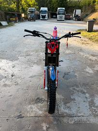 Beta evo 300 2t