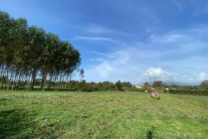 TER. AGRICOLO A CASSINO