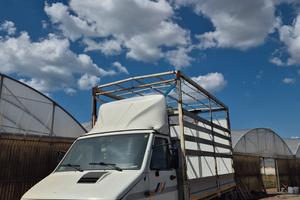 Iveco Daily 59-12