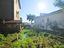 Immagine 26