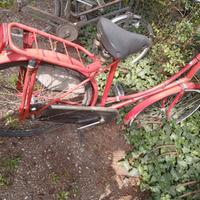 bicicletta con freno a pedale