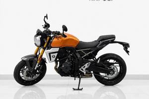 SUZUKI GSX-8T GSX 8T 800 GSX8T ORO LIMA 2026
