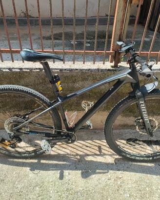 MTB da fondo Focus Raven 29