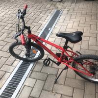 Mtb bambino