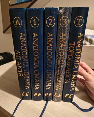 5 volumi Anatomia Umana Anastasi