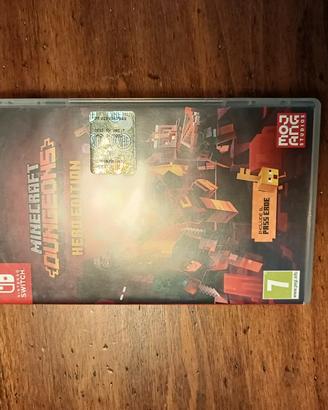 Minecraft dungeons Hero ediction