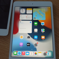 Ipad 4 mini