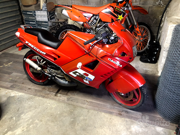 Cagiva freccia c10 r