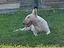 Immagine 5