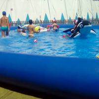 Piscina gonfiabile 9x10