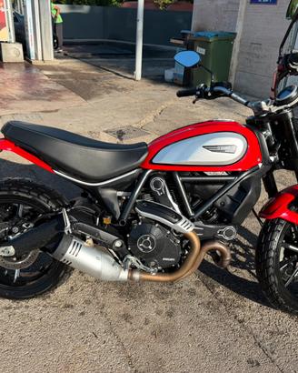 ducati scrambler 800 icon
