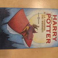 Harry Potter e la camera dei segreti 