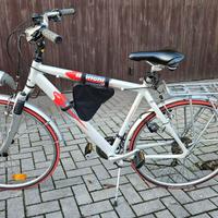 bicicletta Bianchi spillo uomo 28' cambio shimano