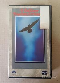 IL GABBIANO JONATHAN LIVINGSTON Hall Bartlett, 197