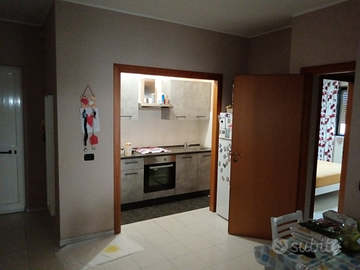 Grazioso appartamento