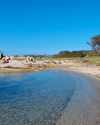 Trilocale vicino al mare con giardino privato