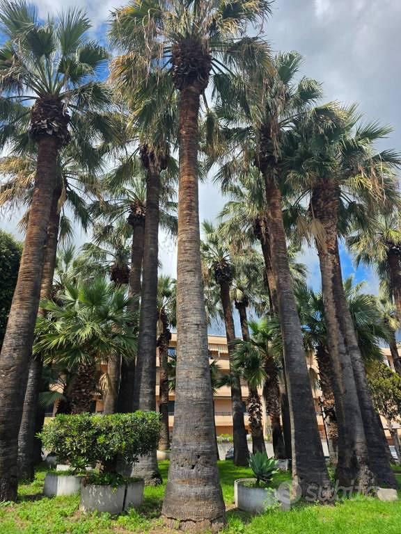 Appartamento – Messina, Fondo Ogliastri, V Circoscrizione - Vista 5