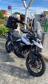 Triumph tiger 900 gt pro