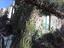 Immagine 11
