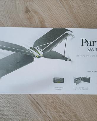 Parrot swing 