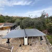 Tavolo pin pong professionale