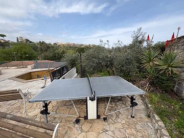 Tavolo pin pong professionale