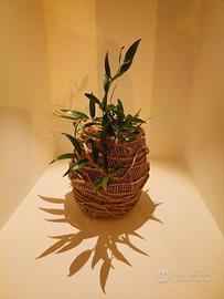 Uova di Pasqua artigianali - Stile Wabi-Sabi 