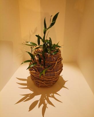 Uova di Pasqua artigianali - Stile Wabi-Sabi 