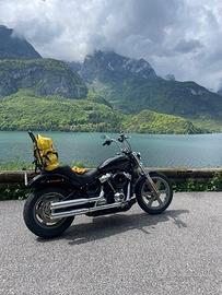 Harley-davidson Softail Standard