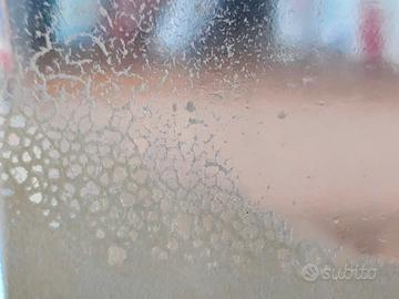 Microworms starter - Panagrellus redivivus