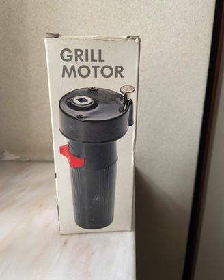 MOTORINO A BATTERIA PER GIRARROSTO