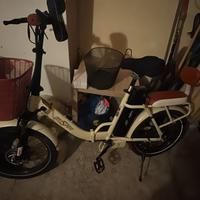 Bici elettrica lunga autonomia