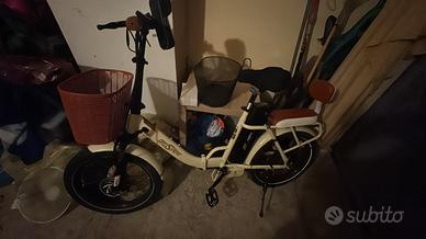 Bici elettrica lunga autonomia