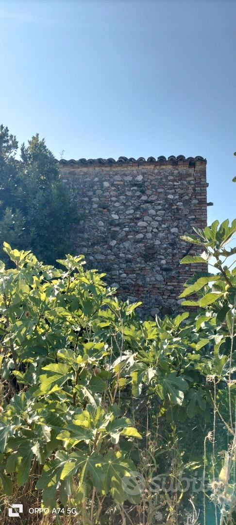 Rustico e terreno edificabile - Vista 5
