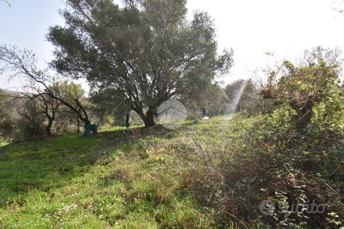 TER. AGRICOLO A AGROPOLI - Altro