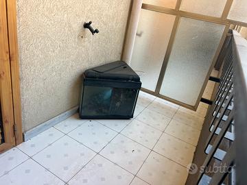 Acquario 100 lt