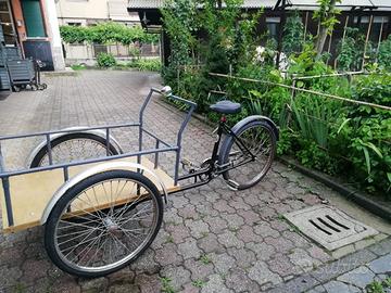 Bicletta con carrello