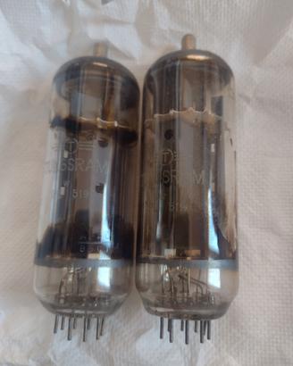 Coppia valvole usate della tungsdram pl519