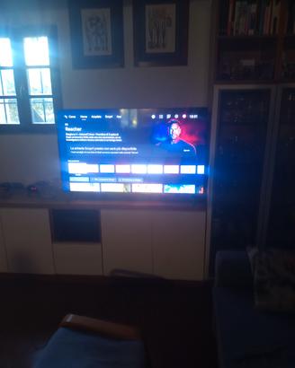 Smart TV TCL 55 pollici 