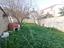 Immagine 15