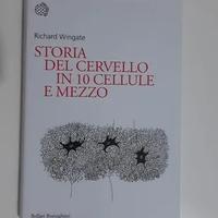 Storia del cervello in 10 cellule e mezzo