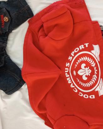 cappottino per cani piccoli 