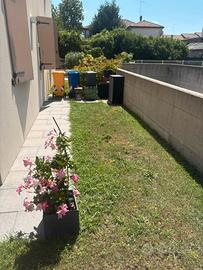 Mini appartamento